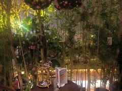 -施奈儿.洗头頭療.按摩SPA.采耳(上梅林店)