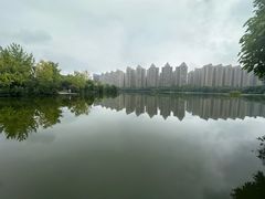 -成都南湖公园