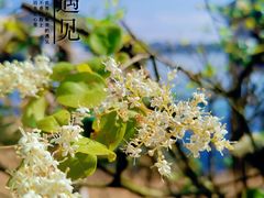 -仙海旅游度假区