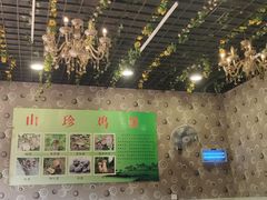 -杨记山珍鸡煲菌汤锅