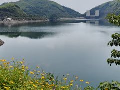 -长沙黑麋峰国家森林公园