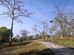 -聚龙山公园