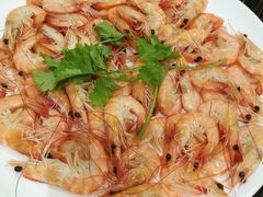 白灼沙虾-新海利(北岭店)