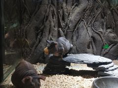 -顺德南宏海立方海洋公园