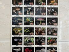 -草墩罗非鱼庄•野生菌•腊排骨(七星街上段店)