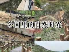 -白水寺森林公园