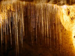 -怀托摩萤火虫洞