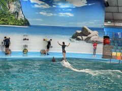 -尼莫海豚馆