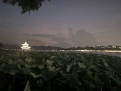 -西湖游船