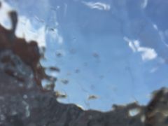 -延安杨家岭革命旧址