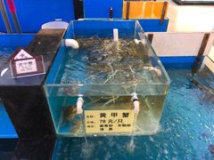 水产区-金稼园·金平湖农家菜