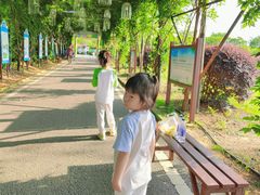 -武汉紫薇都市田园