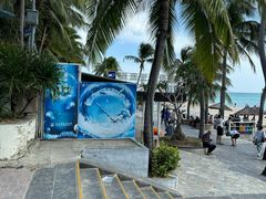 -亚龙湾海底世界