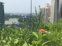 -漪龙台·B26 Rooftop Lounge