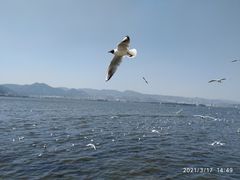 -海埂大坝