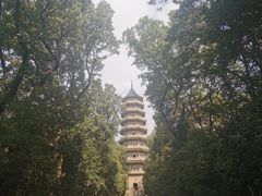 -灵谷景区