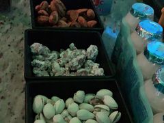 -米乐星世界KTV(汇智国际商业中心店)