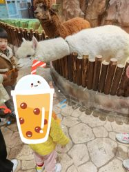 -宝燕乐园(闵行旗舰店)