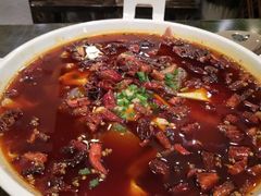 -庆合府重庆大排档(紫都城店)