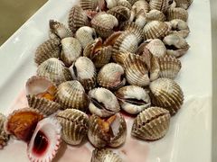 -华盛丰温州大排档(东三环南路店)