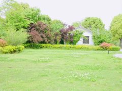 -溱湖国家湿地公园