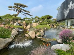 -罗红摄影艺术馆