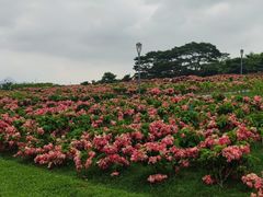 -深圳湾公园(南山区)