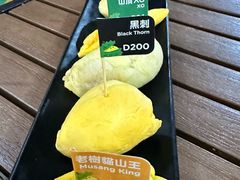 -榴莲BB 四季果园