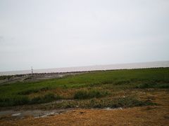-南汇嘴观海公园