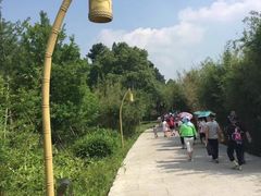 -藏龙百瀑风景区