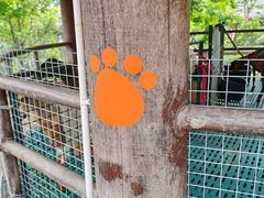 -珠海海泉湾神秘岛亲子乐园