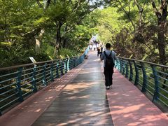 -吴淞炮台湾湿地森林公园烧烤区