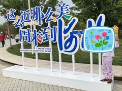 -白洋淀景区