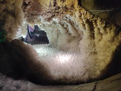 -湖南省地质博物馆