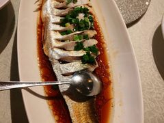 -金美华轩(东方路齐鲁店)