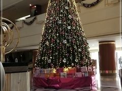 -天津燕园国际大酒店