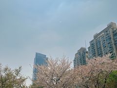 -西北湖绿化广场