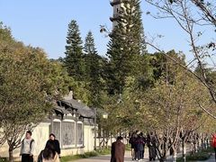 -江心屿景区