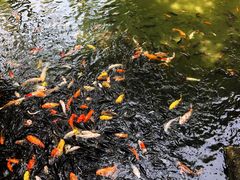 -珠海圆明新园
