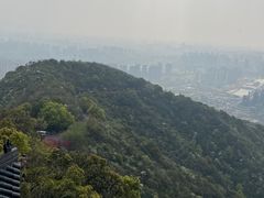 -杭州半山国家森林公园