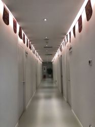 -小忠丽格医美