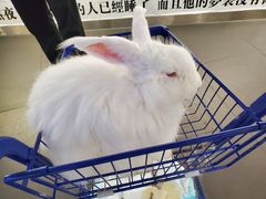 -成都失恋馆