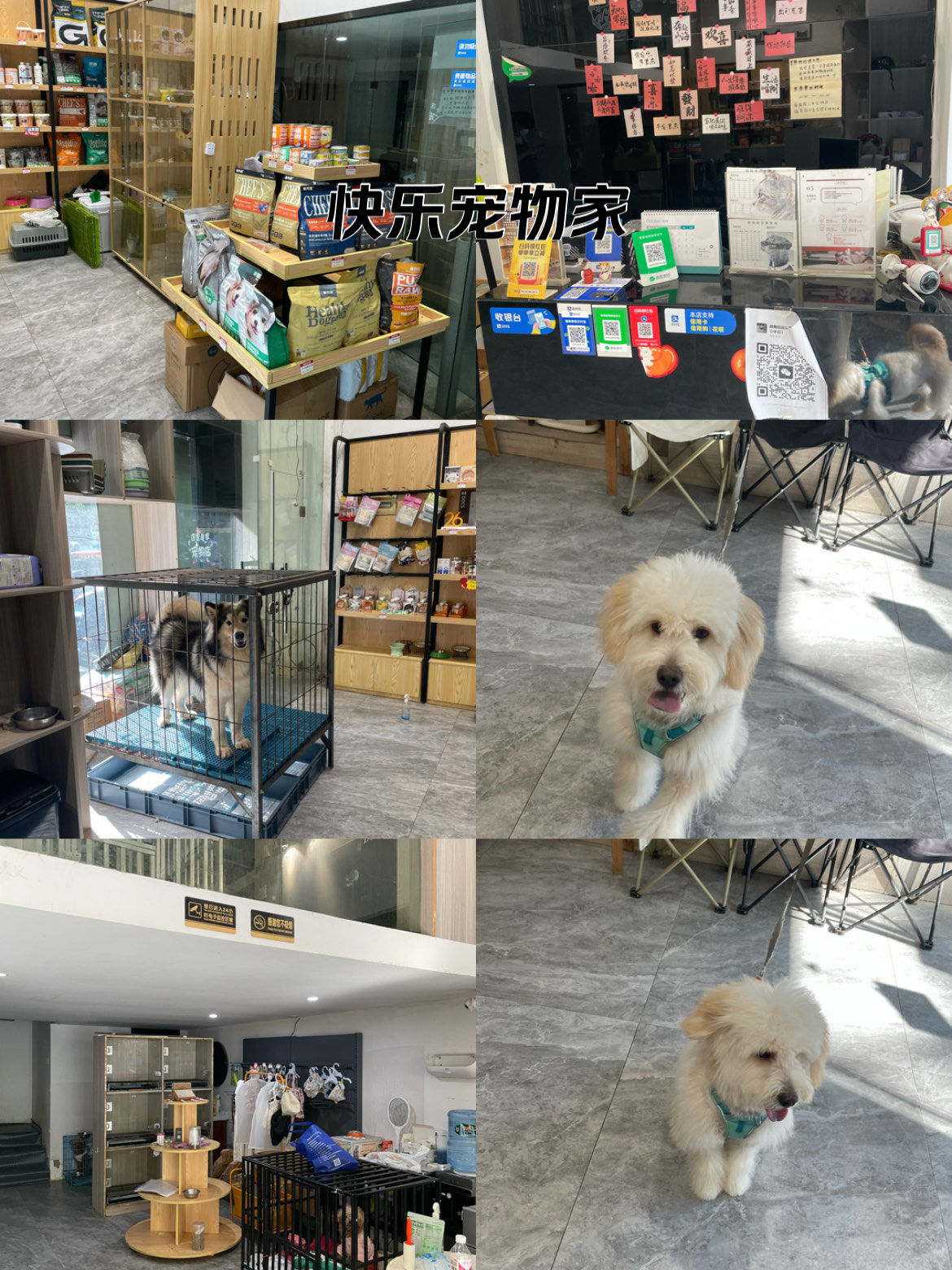 宠物店欢乐多