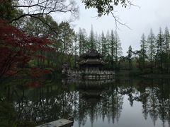 -习家池