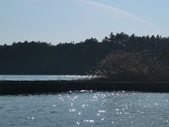 -鄱阳湖国家湿地公园