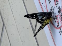 -西涌国际滨海旅游区