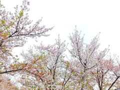 -龙美术馆(西岸馆)