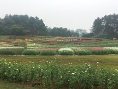 -保利石象湖景区