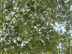 -春晖园度假酒店温泉