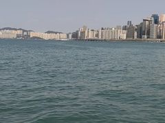 -星光大道